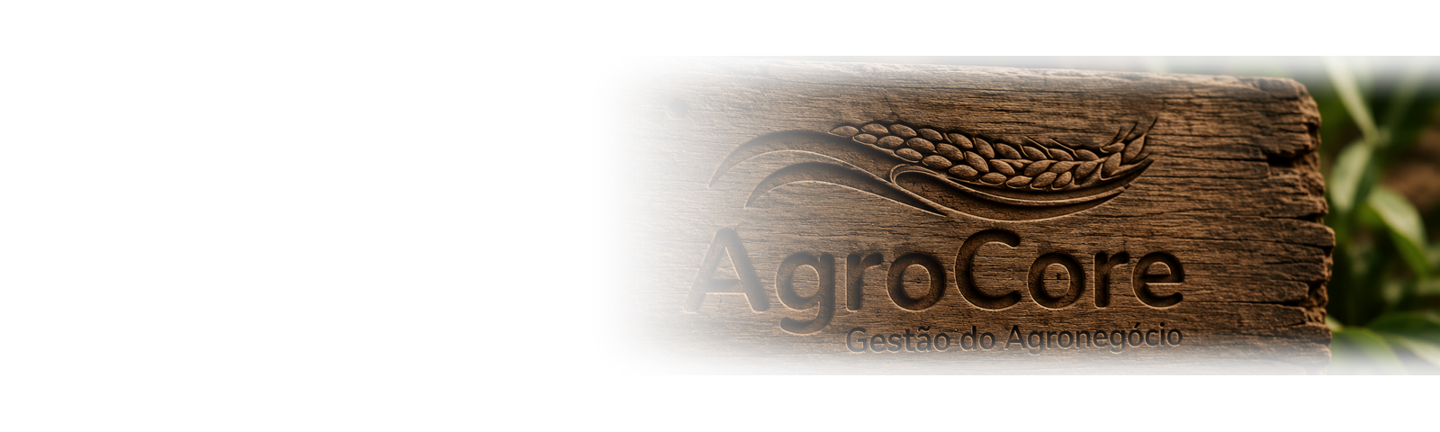 Logo da AgroCore Gestão do Agronegócio entalhado em madeira